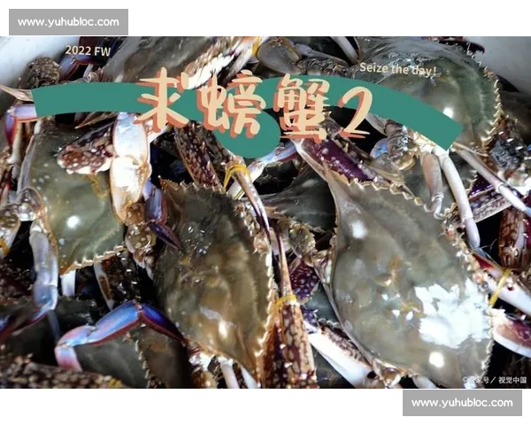 从 “蟹斗” 到共赢:大闸蟹与梭子蟹的鲜味新生态 从 “蟹斗” 到共赢:大闸蟹与梭子蟹的鲜味新生态