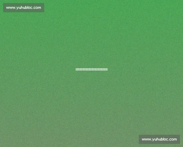 郑钦文新战靴亮相！今夜对决莱巴金娜冲击冠军